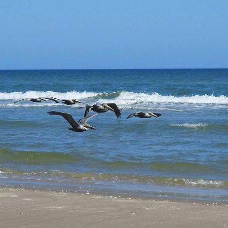 Barefoot Bungalow - Pet Friendly- 2 Bdrm Townhome Corpus Christi Eksteriør billede
