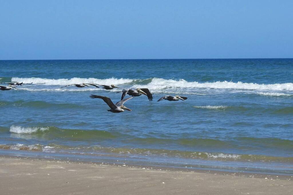 Barefoot Bungalow - Pet Friendly- 2 Bdrm Townhome Corpus Christi Eksteriør billede